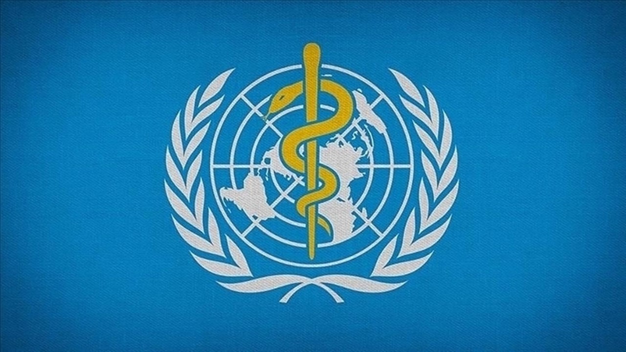 dünya sağlık-3