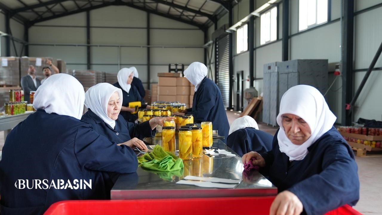 Gürsu’da Kadın Emeğiyle Doğal Turşu Üretimi