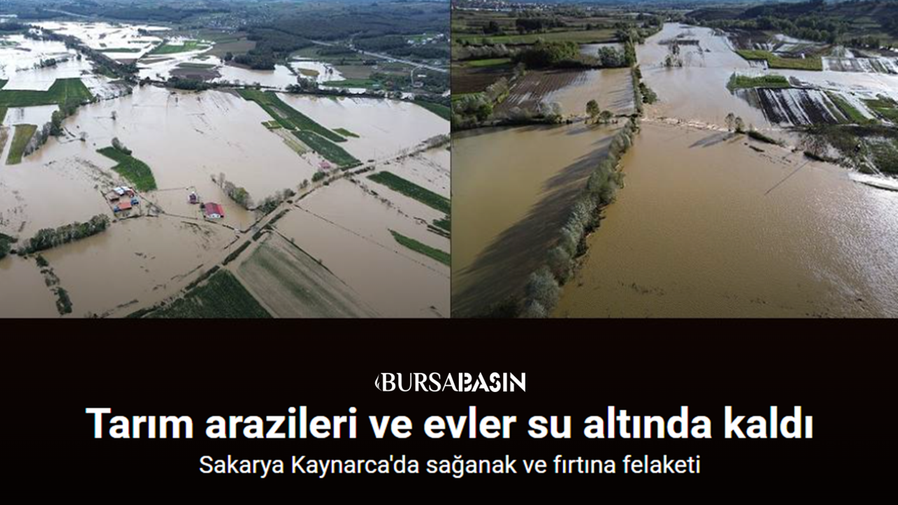 Sakarya’da Tarım Arazileri Sular Altında Kaldı