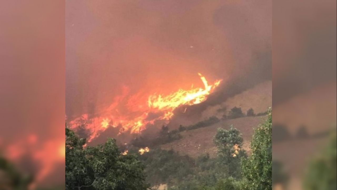 Adana Kozan'daki Yangını İHA'lar Taradından Görüntüye Alındı