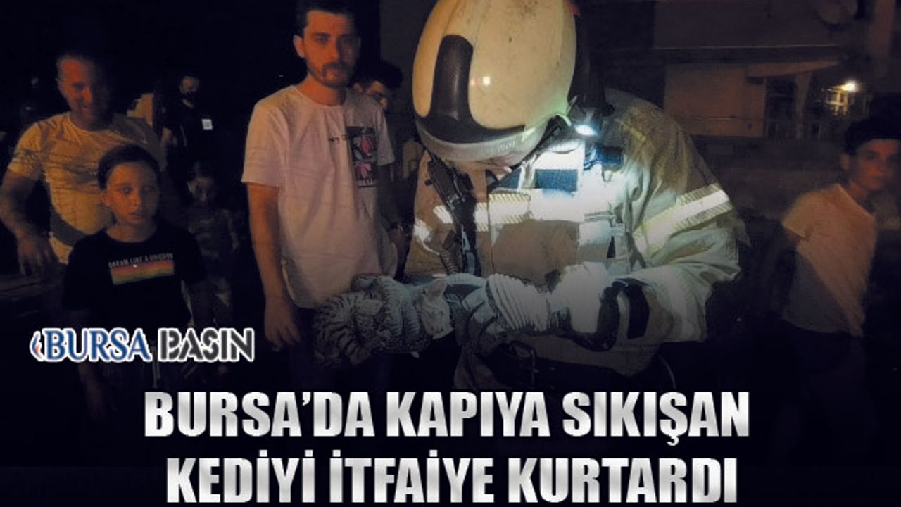 Bursa'nın İnegöl'de Kapıya Sıkışan Kediyi İtfaiye Kurtardı