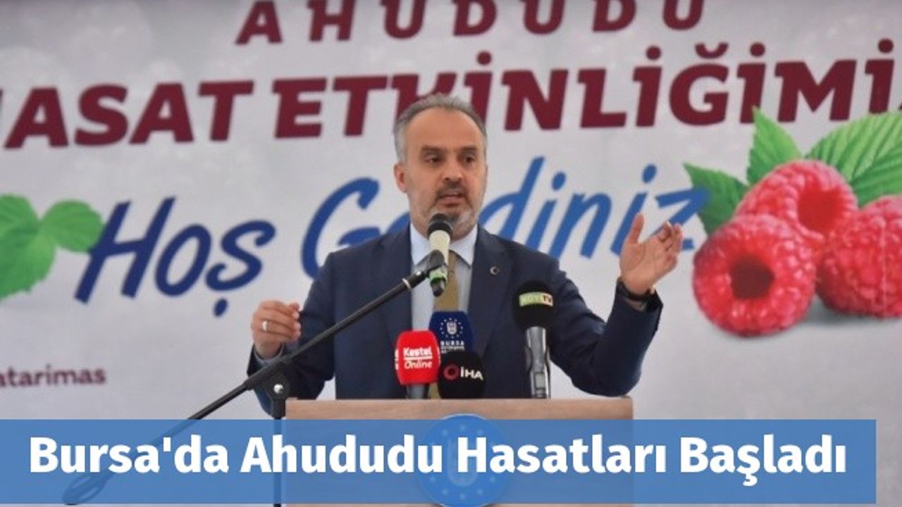 Bursa'da Ahududu Hasatları Başladı
