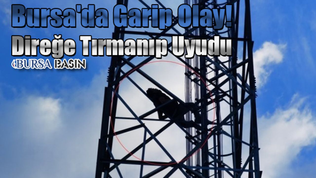 Bursa'da Garip Olay! Direğe Tırmanıp Uyudu