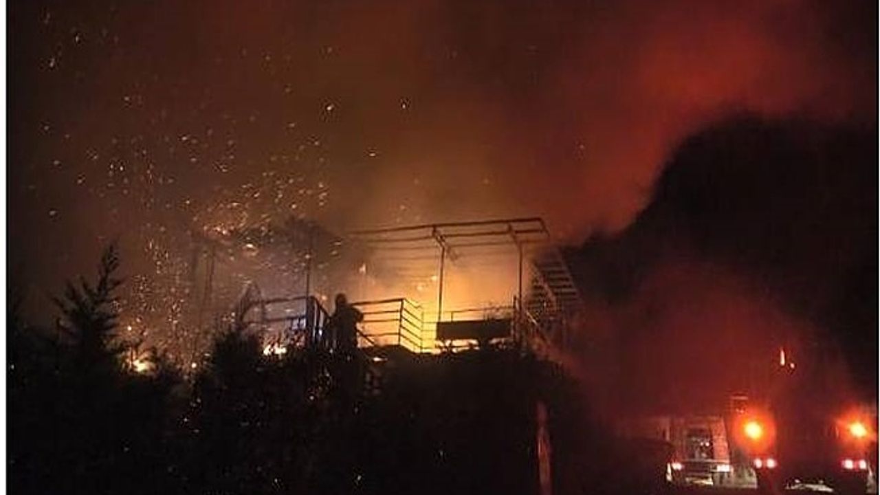 Bursa'da Madde Bağımlıları Oramanı Ve Barakayı Ateşe Verdi