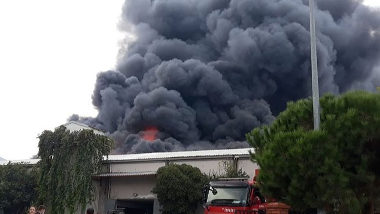 Bursa'daki Yangın Devam Ediyor