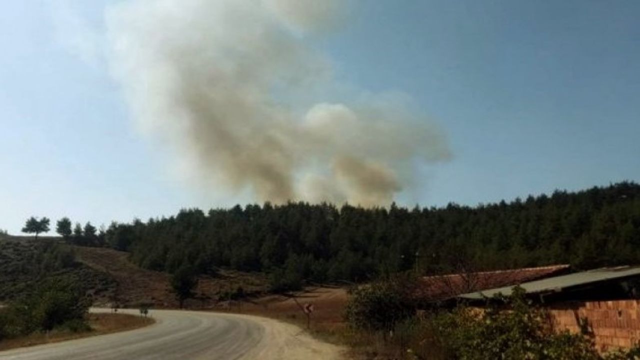 Bursa'da Yine Bir Orman Yangını Haberi