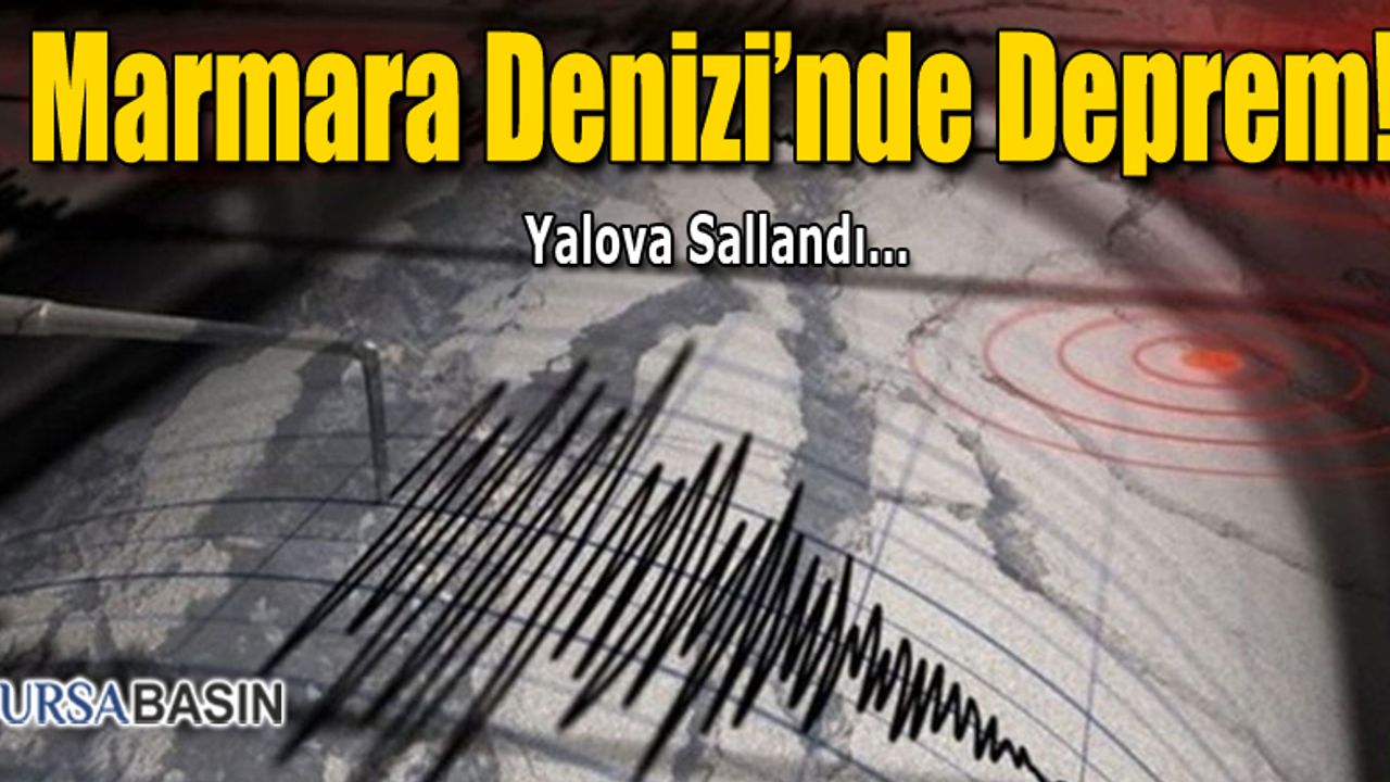 Marmara Denizi'nde Meydana Gelen Depremler Bölge Halkını Korkutuyor
