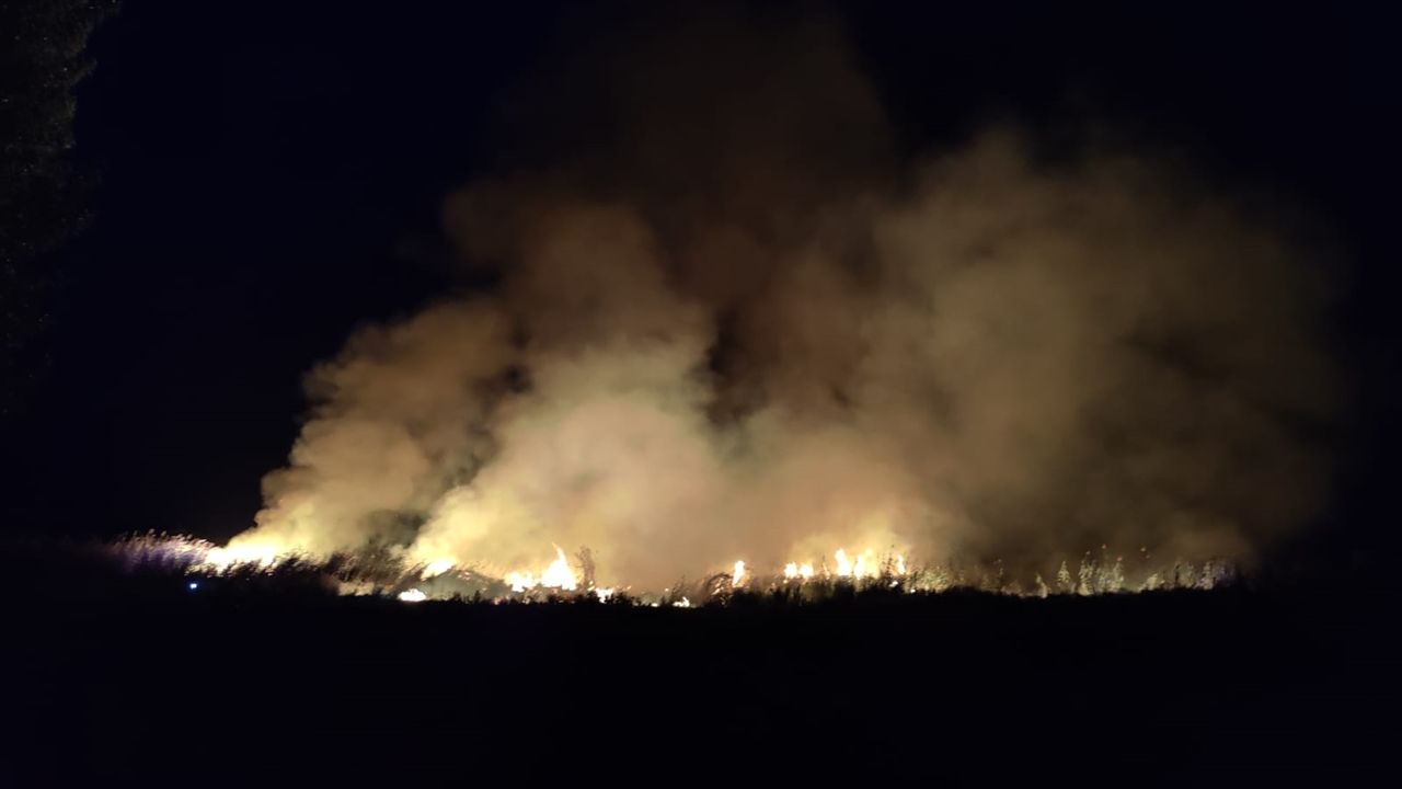 İznik Gölü Kıyısında Korkutan Yangın
