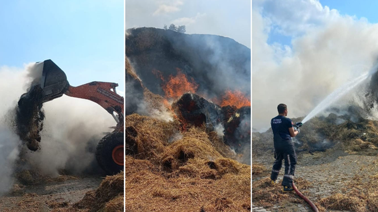 Bursa'da Hayvan Çiftliğinde Korkutan Yangın