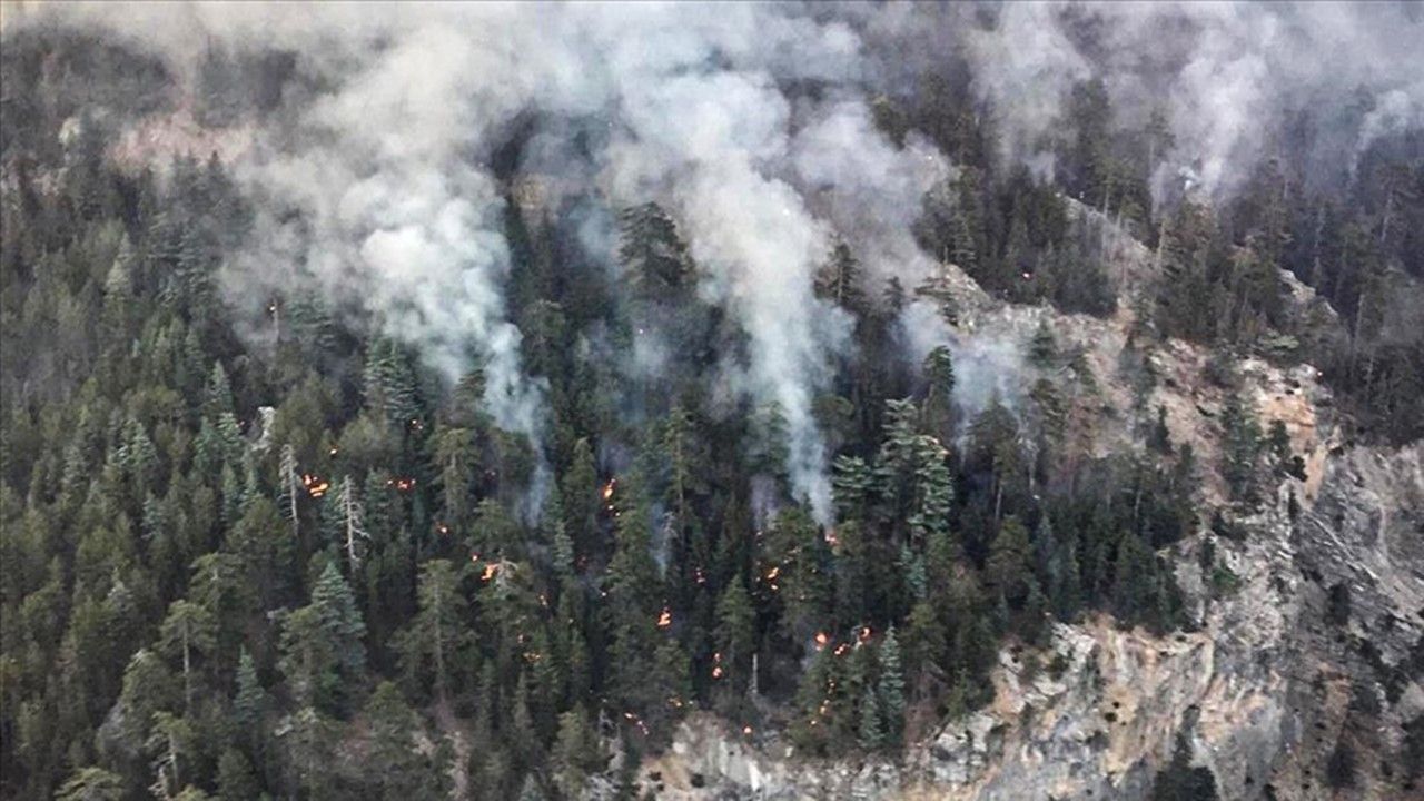 Mersin'de orman yangını 3'üncü gününde: Müdahale sürüyor