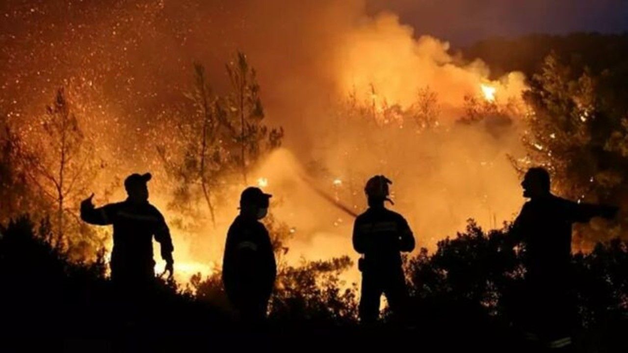 Askerler patlayıcı madde imha ederken orman yangını çıktı