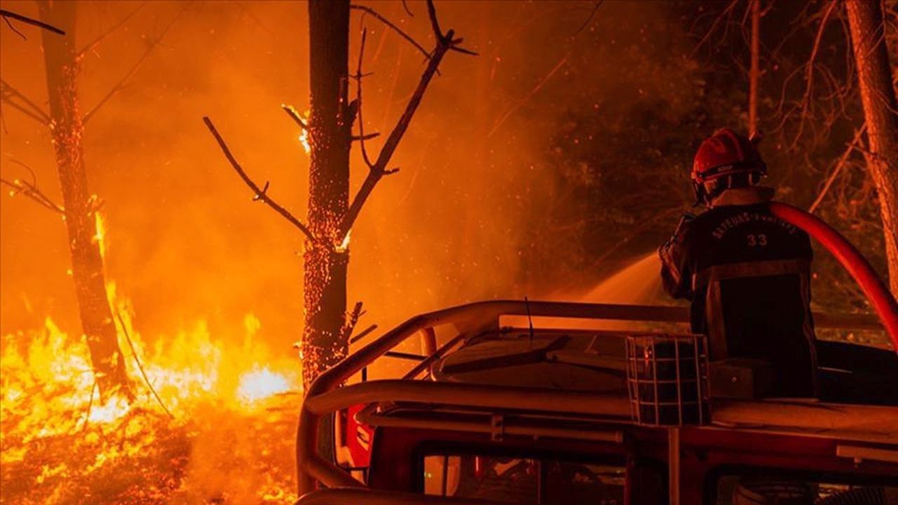 Fransa'daki yangında 3 bin hektardan fazla yeşil alan yandı