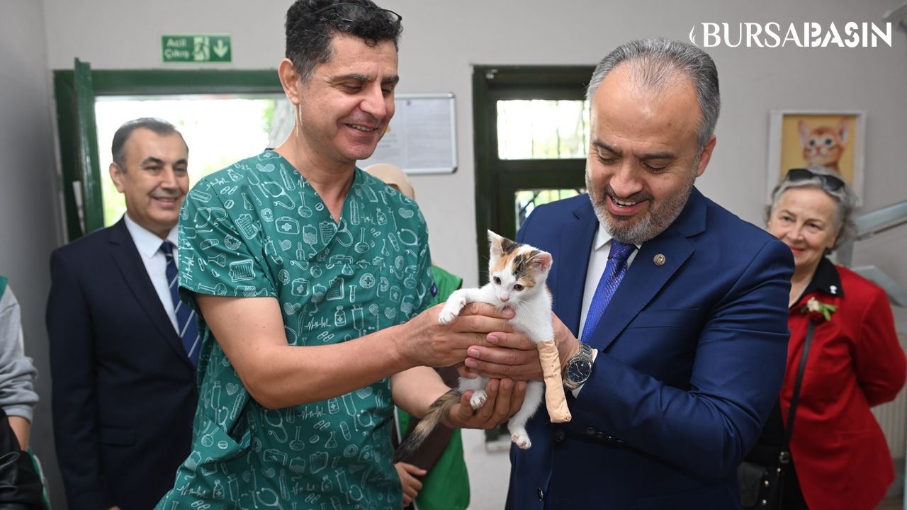 Başkan Alinur Aktaş 4 aylık yavru bir kediyi sahiplendi