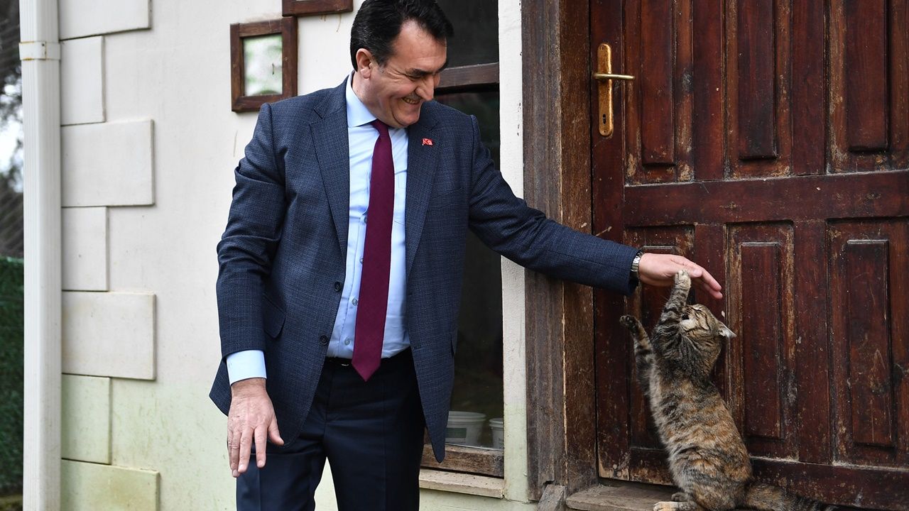 Osmangazi'de Binlerce Sokak Hayvanı Şifa Buldu