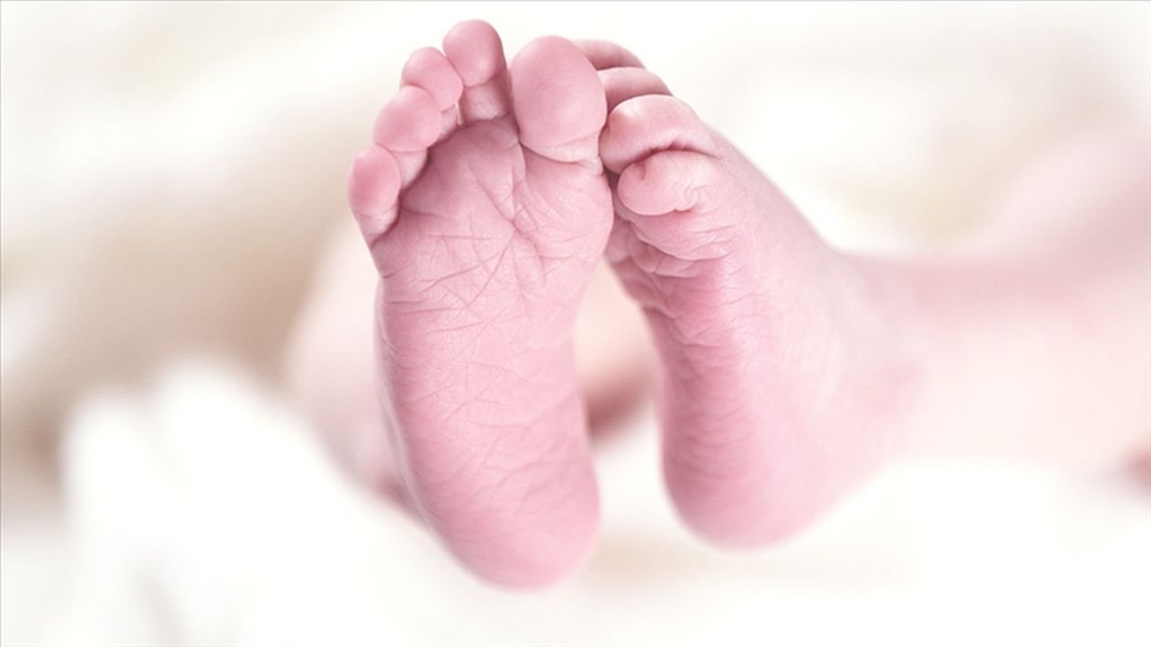 162 bin bebeğin nüfus kaydı, aile kütüklerine tescillendi