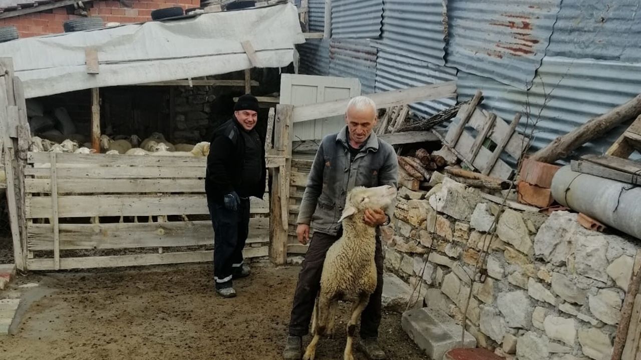 Bursa, küçükbaş hayvanlarını depremzedelere bağışladı