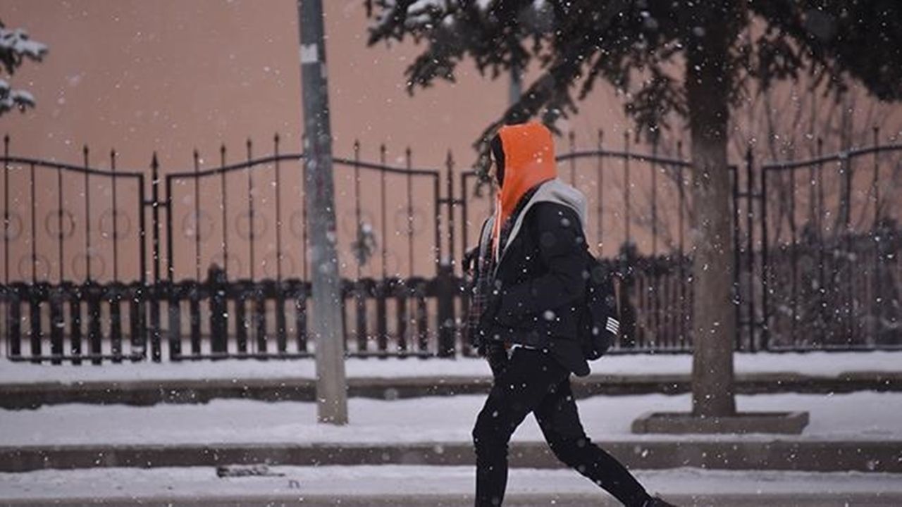 Doğu Anadolu'da kar yağışı ve soğuk hava etkili oluyor
