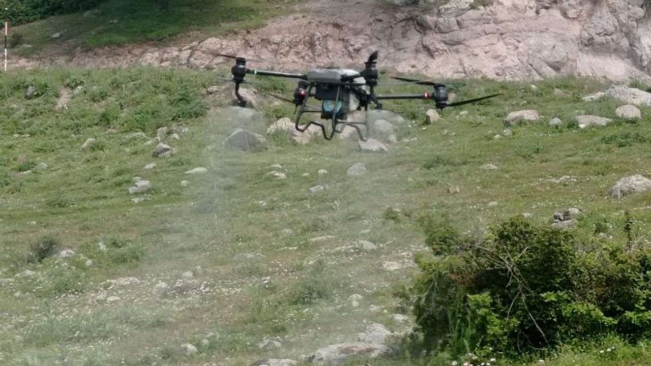 Manisa'da tarla çekirgelerine 'drone'lu mücadele