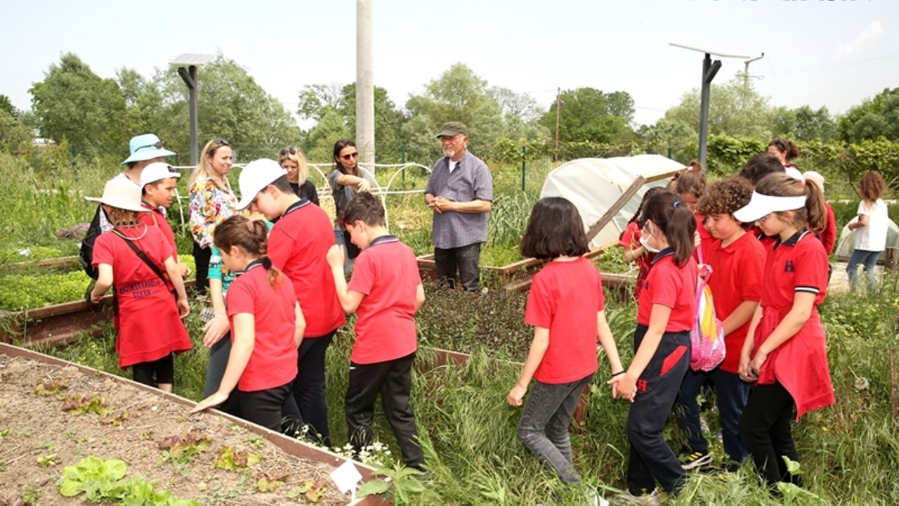 Nilüfer'de Öğrenciler Kent Bostanları’nda tarımla tanıştı