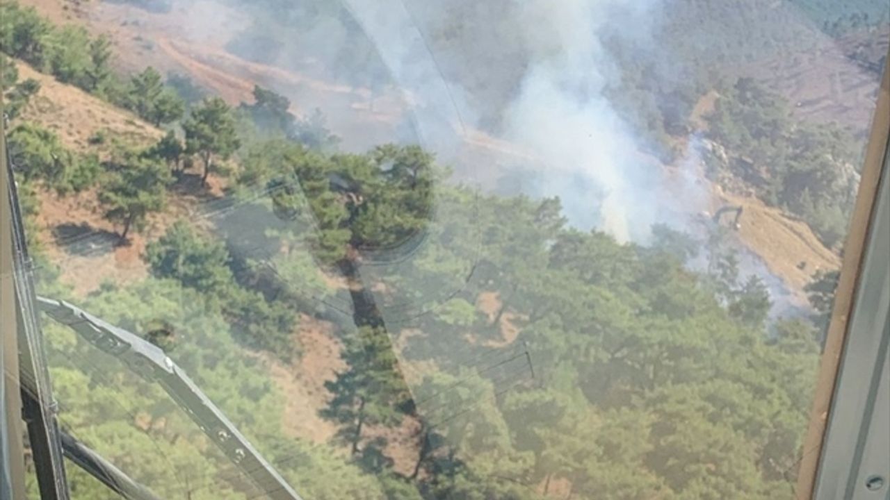 Balıkesir'in Burhaniye ilçesinde orman yangını çıktı