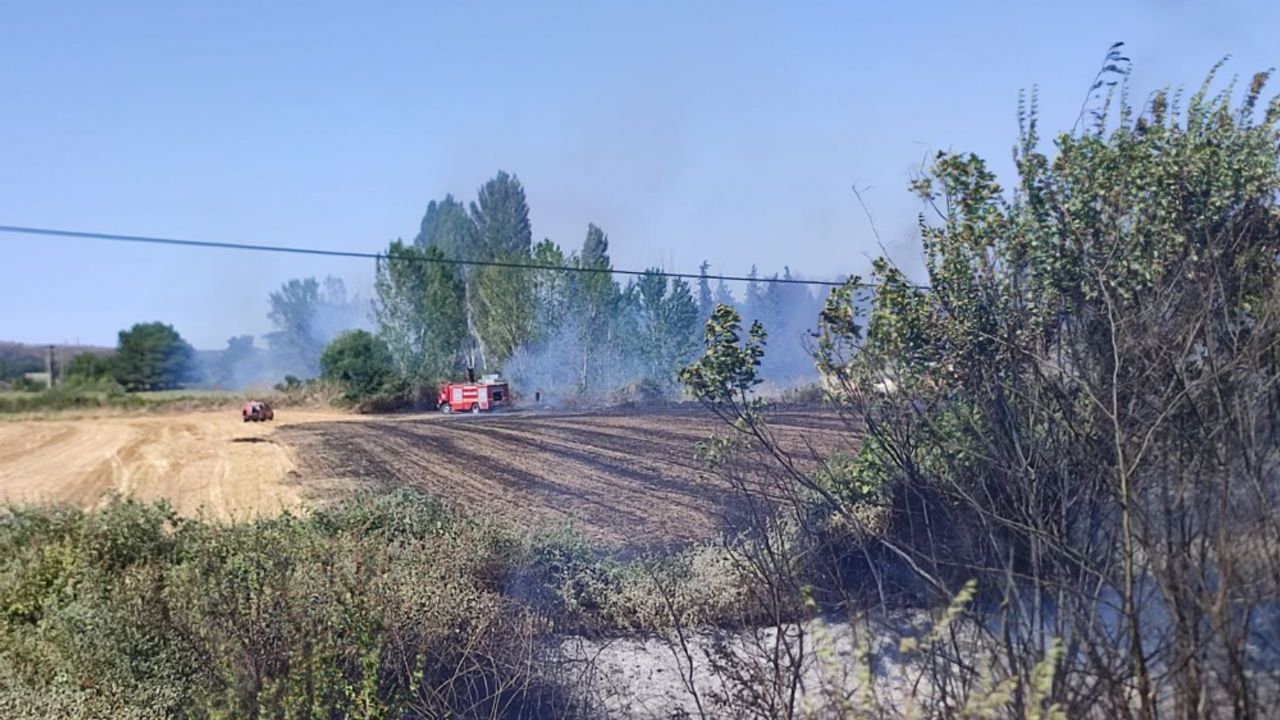 Edirne'de çıkan anız yangını söndürüldü