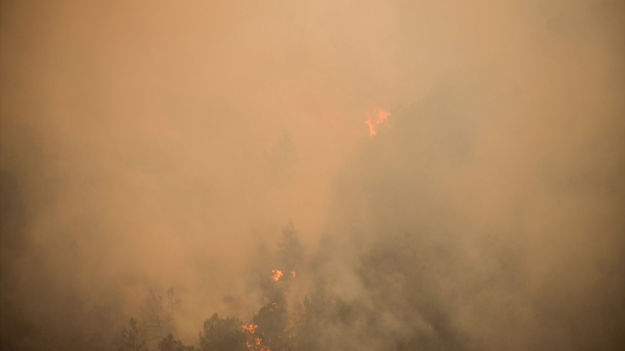 Bilecik'te çıkan orman yangınına müdahale sürüyor