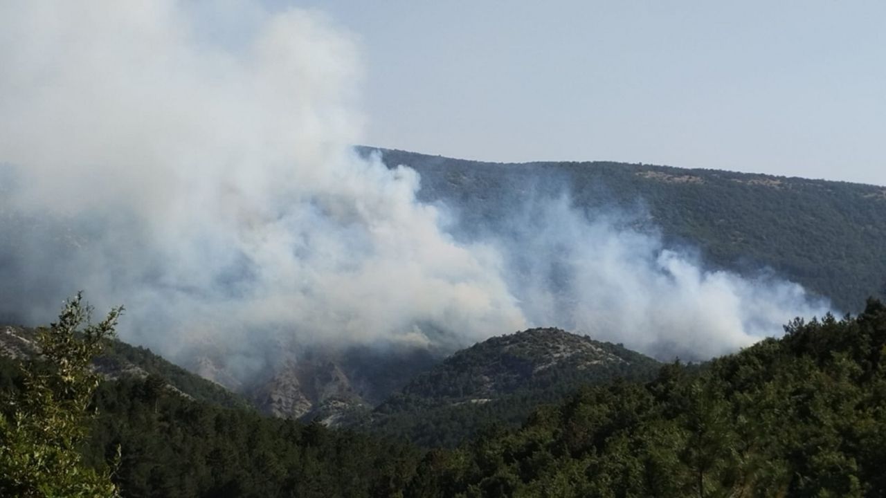 Bilecik'te çıkan orman yangınına müdahale ediliyor