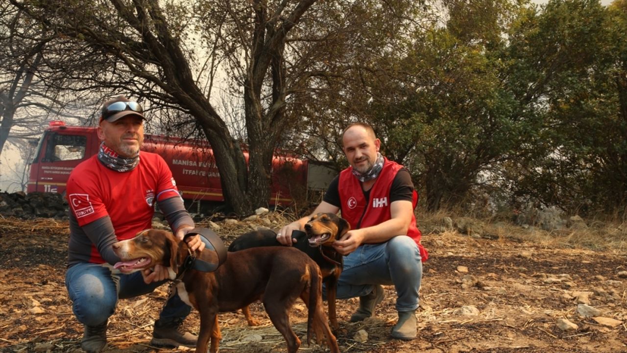 İHH gönüllüleri Çanakkale'deki yangında barakada mahsur kalan 2 köpeği kurtardı