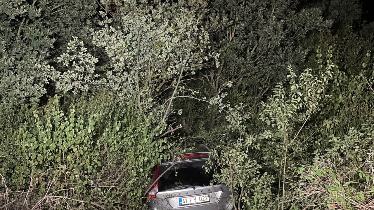Kocaeli'de yeşillik alandaki ağaca çarpan cipin sürücüsü yaralandı
