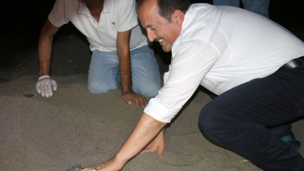 Mersin'de kaplumbağa yavruları denizle buluştu
