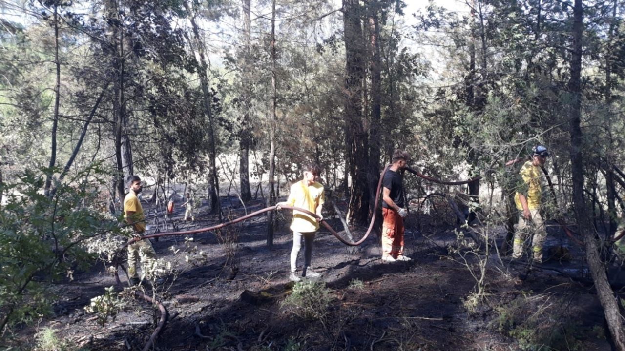 Orhaneli'de çıkan orman yangını söndürüldü