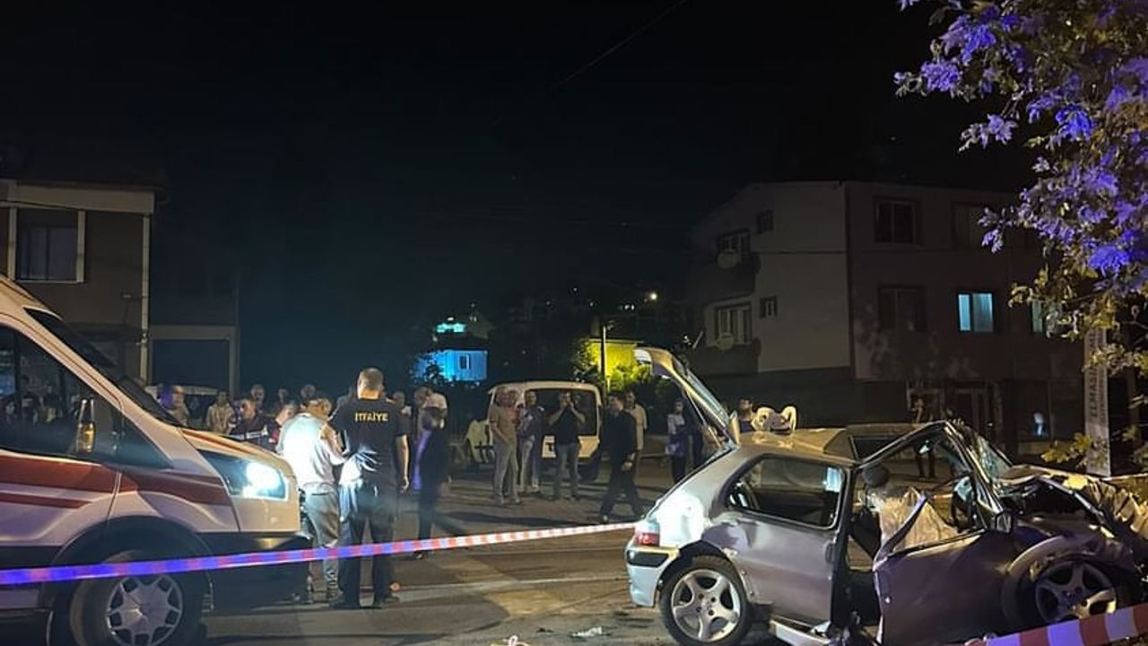 Yalova'da ağaca çarpan otomobildeki kadın hayatını kaybetti