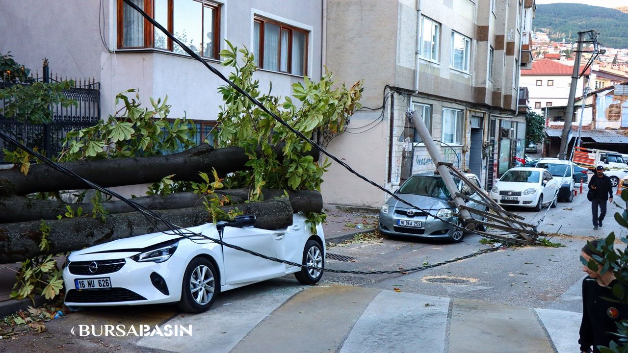 Bursa'da Lodos: Ağaç ve Elektrik Direği Araçların Üzerine Devrildi