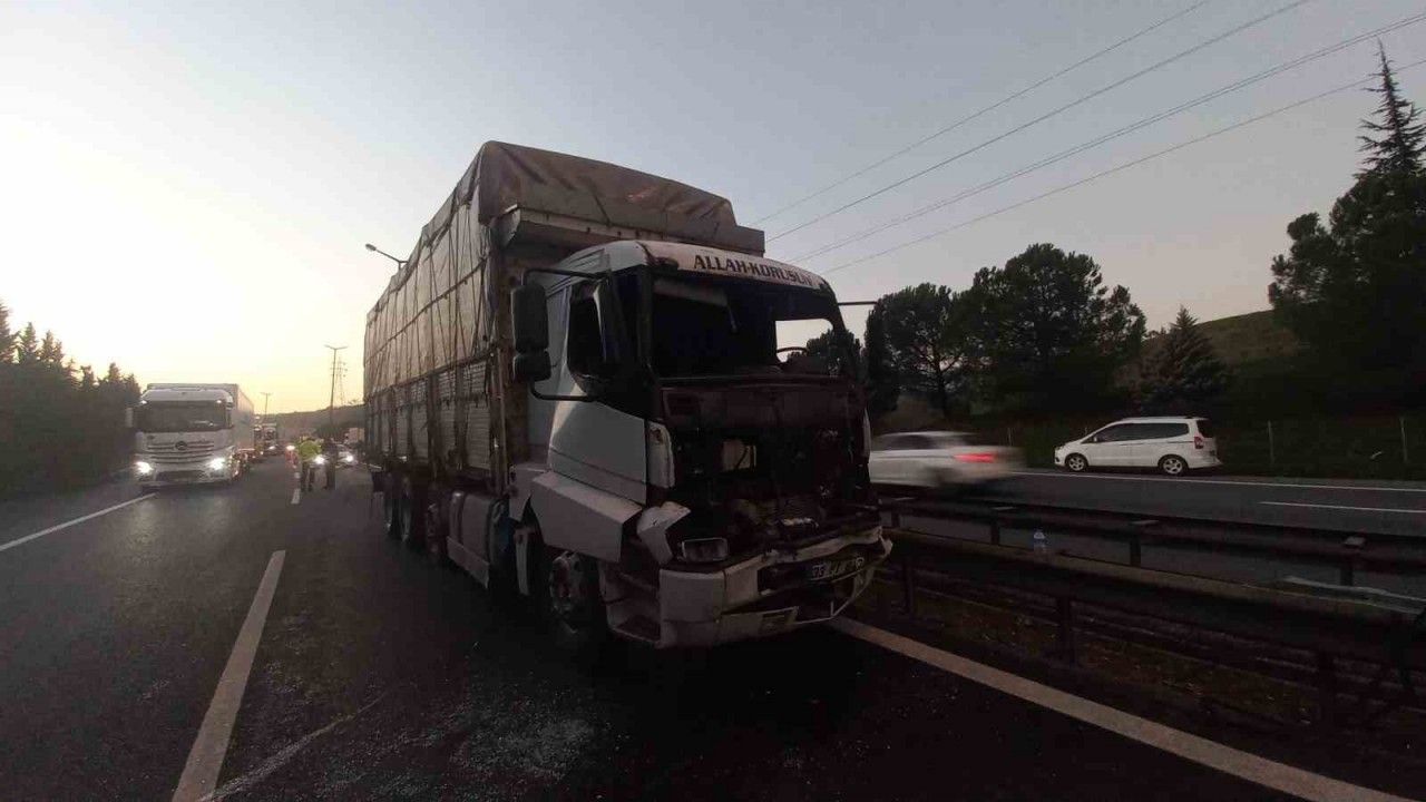 TEM’de tır ile kamyon çarpıştı: Sürücüyü vatandaşlar ön camdan çıkardı