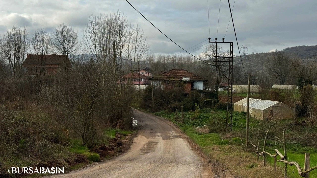 Bartın'da Şap Hastalığı: 12 Köyde Hayvan Giriş-Çıkışları Kısıtlandı