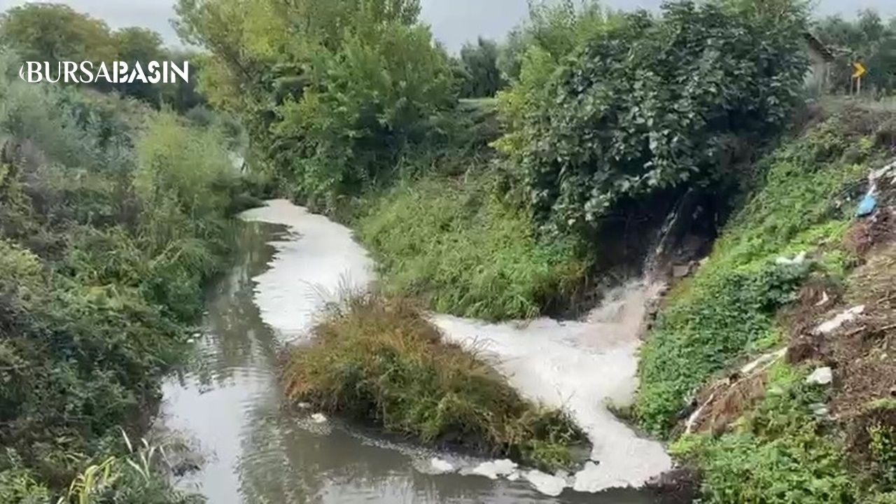 Karsak Deresi’ndeki kirlilik Gemlik Körfezi’ne ulaştı