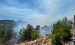 Antalya Akseki'de Ormanda Yangın Çıktı