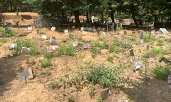 Diyarbakır'da Belediye İmkanlarıyla PKK'lı Teröristler İçin Mezarlık İnşa Edildi