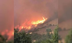 Adana Kozan'daki Yangını İHA'lar Taradından Görüntüye Alındı