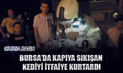 Bursa'nın İnegöl'de Kapıya Sıkışan Kediyi İtfaiye Kurtardı