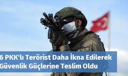 6 PKK'lı Terörist Daha İkna Edilerek Güvenlik Güçlerine Teslim Oldu