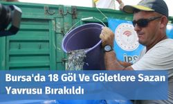 Bursa'da 18 Göl Ve Göletlere Sazan Yavrusu Bırakıldı