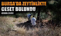 Bursa'da Zeytinlikte Bir Erkeğe Ait Ceset Bulundu