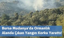 Bursa Mudanya'da Ormanlık Alanda Çıkan Yangın Korku Yarattı!