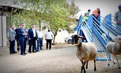 Bursa’nın Mustafakemalpaşa ilçesinde mobil koyun banyosu hizmete girdi