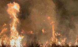 İznik Gölü Kıyısında Çıkan Yangın 20 Dönüm Araziyi Kül Etti