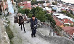 Bursa'da Belediye Eşek İle Malzeme Taşıyor
