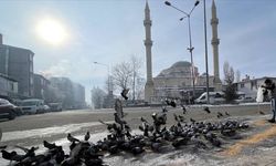 Doğu Anadolu'da dondurucu soğuklar etkili oldu