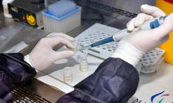 Kovid-19 aşılarının antikor oranları karşılaştırıldı