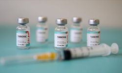 Milli aşı TURKOVAC'tan umut veren sonuçlar